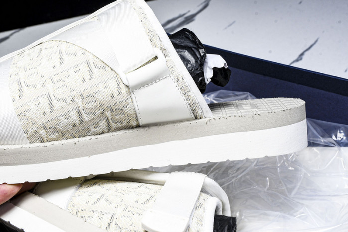 D1R* SLIDE copshoe DR-SLIDE 019