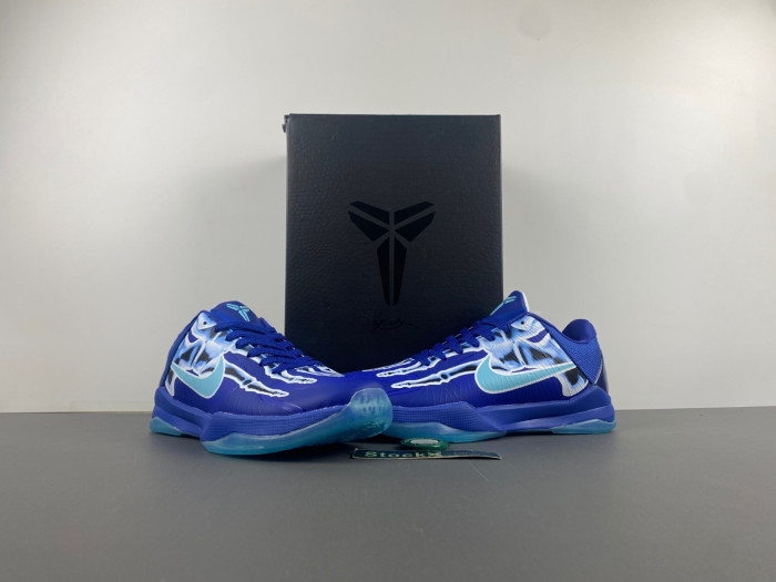 zoom kobe 5 protro 