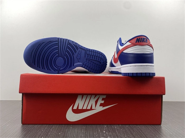 Original Nike Dunk Low USA DD1503- 4799