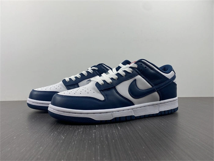 Nike Dunk Low Valerian Blue DD1391- Practical 4819